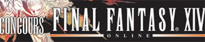 Questionnaire-concours Final Fantasy XIV