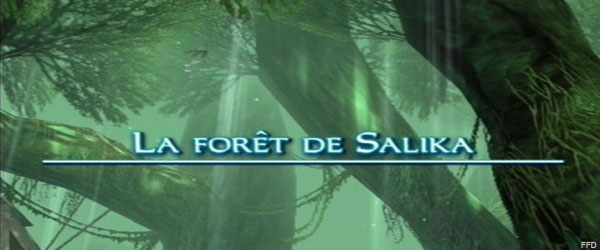 La forêt de Salika