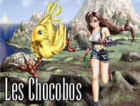 Les Chocobos