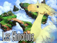 Les Chocobos